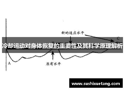 冷却运动对身体恢复的重要性及其科学原理解析