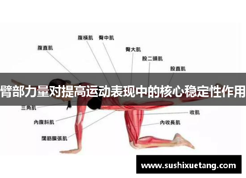 臂部力量对提高运动表现中的核心稳定性作用